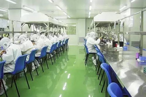 科學搭配，自然養顏 保健食品助力女性青春常駐